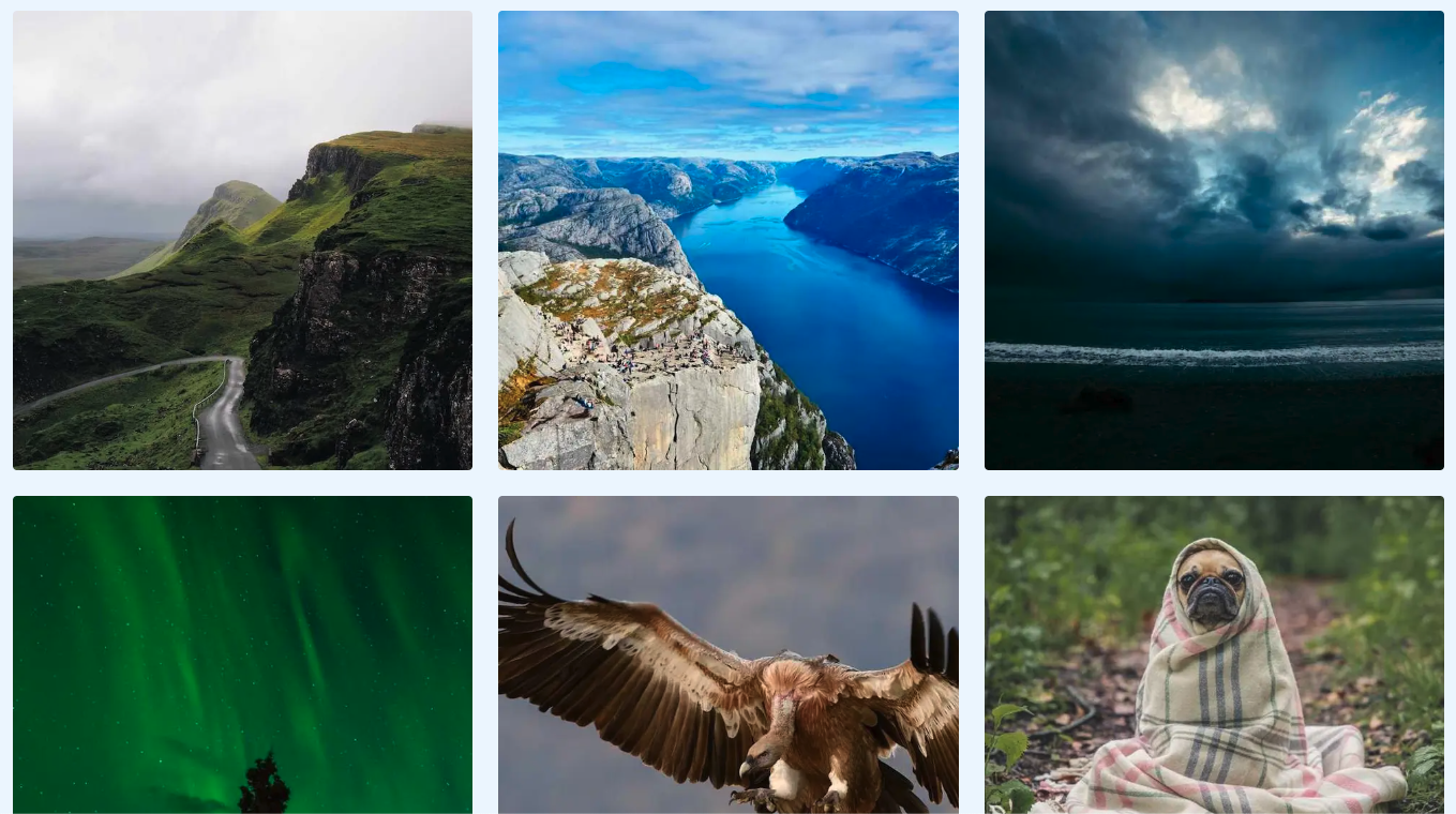 Portfolio example